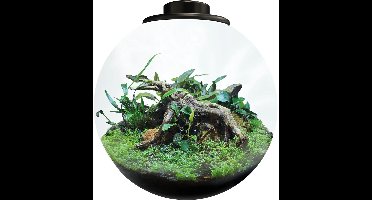 BIOART Bowl 225 Zwart 5,1 liter LED nano garden plantenterrarium