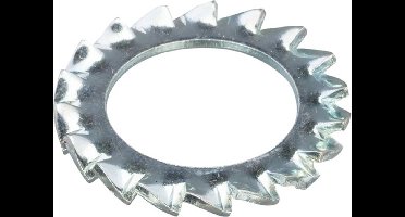 Hoenderdaal Tandveerring staal verzinkt M6 din 6798az - doos à 100 stuks