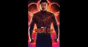 Shang-Chi Flex Poster 61x91.5cm