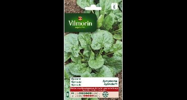 Spinazie Symphonie F1 - 40 g