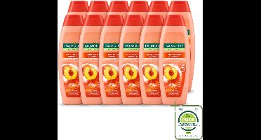 12 x Palmolive - Naturals - 2in1 Shampoo - Perzik - Hydra Balance - 350 ml - Grootverpakking - 2 In 1 Shampoo - Haar Reinigen - Haar Hydrateren - Perzik Extract - Haar Verzorgen