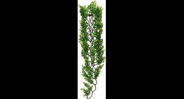 Zoomed Naturalistic Flora - Malasian Fern - Large
