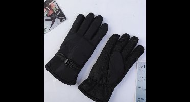 Winter Sport Handschoenen – Warm, koudebestendig, pluisgevuld (zwart)
