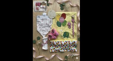 Maminobaby.nl - Baby Geschenkset meisjes | Newborn | Handmade speenkoord | Handmade haarclip | Kraamcadeau | Babyshower