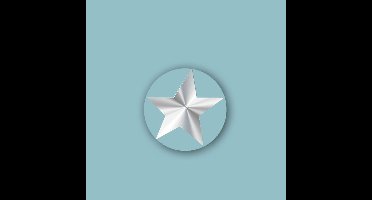 Sluitsticker Ster transparant-zilver -Sticker-Etiket – Ster etiket – 5