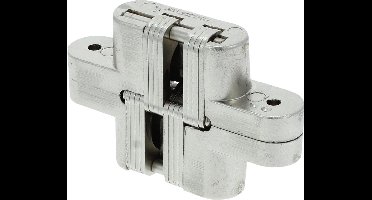 Starx scharnier onzichtbaar - nikkel - 25 X 117 mm - 8711332196249