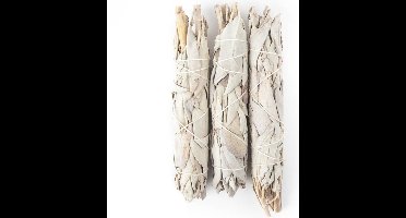 Witte Salie Smudge S per 3 verpakt - 10x3 cm - 20 g - S