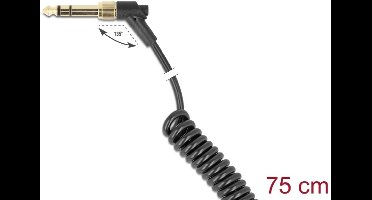 Delock Coiled Cable 3.5 mm 3 pin Stereo jack male to Stereo jack male angled with screw adapter to 6.35 mm 75 cm