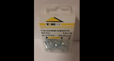 Homefix Plaatschroef-Lenskop PZ Verzinkt 4.2x25mm 20 Stuks