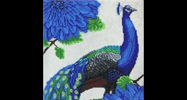 Crystal Art Kit Flowering Peacock