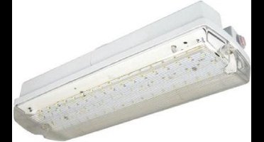 Noodverlichting LED met vier pictogrammen Nood/Continue 1.1 Watt