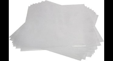 100 Plastic LP Hoezen Standaard Kwaliteit - 100 Micron