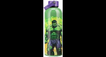 Paladone Products Marvel Universe Metal Water Bottle Hulk met Carry Loop Kitchen- and Tableware