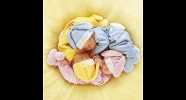 Schmidt Puzzel: Anne Geddes - Charli, Connor & Jacob