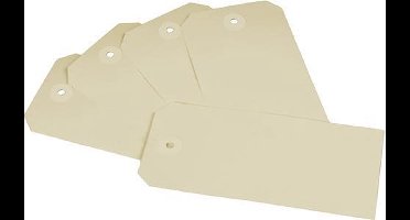 Raadhuis labels - 55x110mm - chamois - 250 stuks