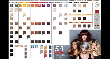 Chi Ionic Shine Shades 4RR