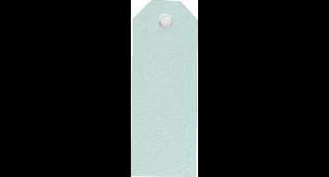 Happy Moments Labels Lichtblauw 3 X 8 Cm Karton 20 Stuks