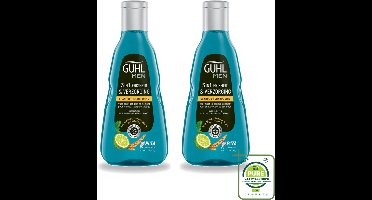 2 x Guhl - 3-in-1 Shampoo - Freshness & Care Man - 250 ml - Grootverpakking - 3-in-1 Shampoo - Mannelijk Haar - Mannelijk Lichaam - Frisheid - Energie