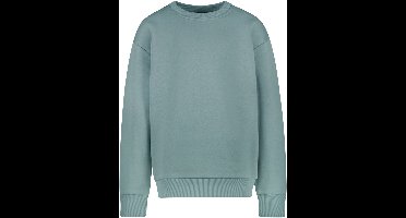 Cars Jeans Sweater Eamon jr. - Jongens
