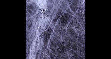 Spinnenweb - Spinrag - Wit - Halloween Decoratie - Met Spinnen - 1000 Gram