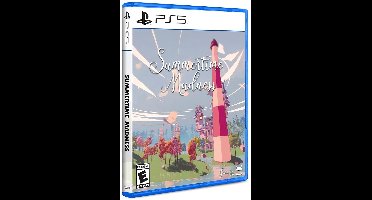 Summertime Madness - PS5 (Limited Run)