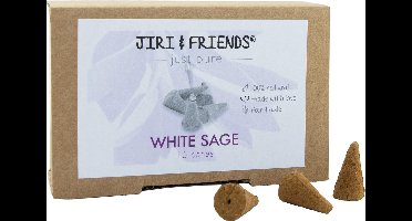 Jiri & Friends Cones Witte Salie