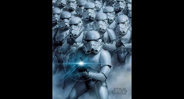 Star Wars Stormtroopers Poster 40x50cm