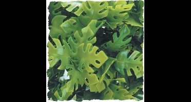 ZooMed - naturalistic flora - amazonian phyllo - small - terrariumplant