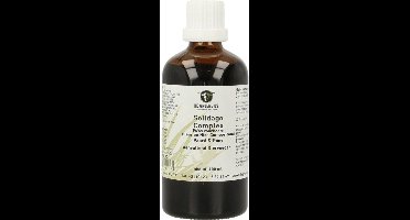 Groene Os Solidago Complex - Paard/Pony - 100 ml