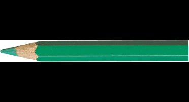 Caran d'Ache Pablo kleurpotlood 201 veronese green