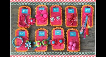 Lief Lifestyle! Mooi Haaraccesoires pakket! Haarelastiekjes!