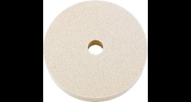 Viltschijf 100x20x10 (M) Rüggeberg