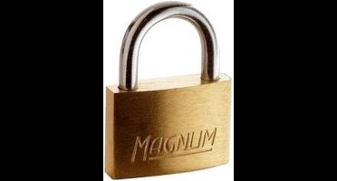 MasterLock CAD20 Hangslot 20 mm Messing