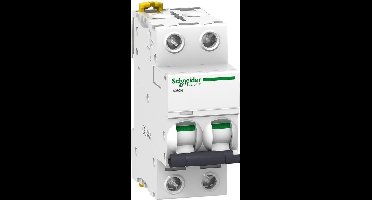 Schneider Automaat ic60n 2p 32a d 6ka c60n - A9F75232