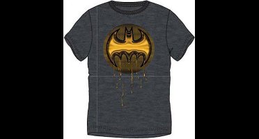 Batman heren t-shirt, volwassenen, grijs, maat S