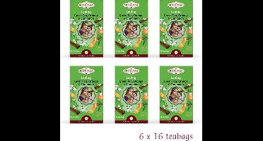 Kruidenthee - Groene Thee met Sinaasappel en Kaneel BIO - Shoti Maa Chakras "Loving-Je Suis en Paix"  (6 doosjes thee)