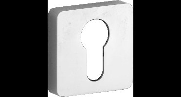 Cilinderrozet - Chroom gepolijst - Messing - M&T - M&T Minimal/Maximal rechthoekig, glans chroom, 47x33x12mm