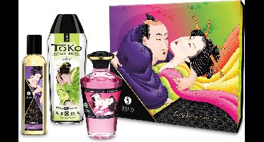 Shunga - Fruity Kisses Gift Set