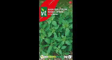 Basilicum citroen zaden - Verfrissende citroenbasilicum voor salades en kruidenmixen