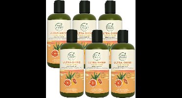 PETAL FRESH - Conditioner Aloe & Citrus - 6 Pak - Voordeelverpakking