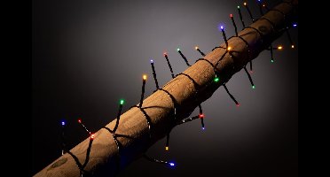 FlinQ 250 LED Draadloze kerstverlichting - Kerstverlichting Binnen - Kerstverlichting Buiten - Warm white - Multi kleur