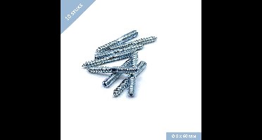 UFAST stokeind M8 x 60 mm - Torx aandraaimogelijkheid - Verzinkt - 10 stuks