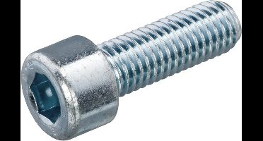 Inbusbout Ck Staal Verzinkt M5x50mm - 100 stuks