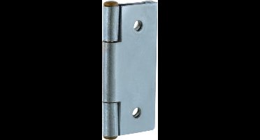 Starx scharnier smal model, met vaste pen, verzinkt 40 x 32 mm (4 stuks)