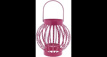 Light lampion fuchsia