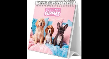 Grupo Erik - Puppies 2027 Bureaukalender - Multicolours
