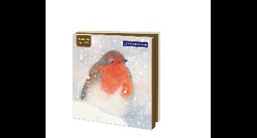Kaartenmapje met env, vierkant: Kerst, Ray Shuell, Natuurmonumenten