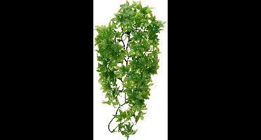 Zoomed Naturalistic Flora - Congo Ivy - Large
