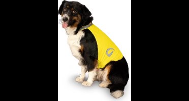 Nightwalk Safety Vest - Ruglengte 45 cm - Veiligheidsvest hond - Hondenvest - Veiligheidshesje Hond - Fluo Hond - Reflecterend veiligheidshesje - Maat L - Geel