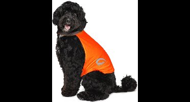 Nightwalk Safety Vest - Ruglengte 35 cm - Veiligheidsvest hond - Hondenvest - Veiligheidshesje Hond - Fluo Hond - Reflecterend veiligheidshesje - Maat M - Oranje
